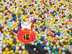 -南宫五洲植物乐园