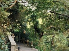 -草庵摩尼教遗址公园