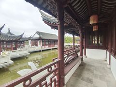 -上海海湾国家森林公园