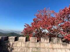 -永康小长城