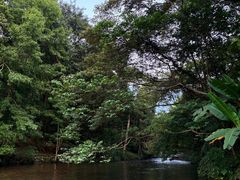 -广州市石门国家森林公园