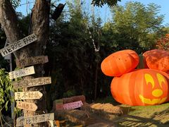 -HERRE·FARM 赫尔露营农场·团建聚会包场