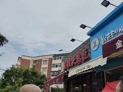 -洪湖里王姐大乌豆