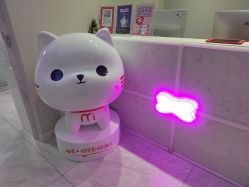 -咪咪专业脱毛连锁机构