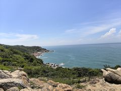 -广东惠东海龟国家级自然保护区