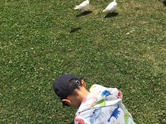 -滇池海埂公园