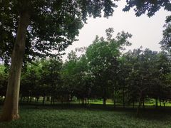 -河南省黄河迎宾馆