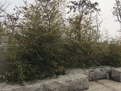 -竹子庵公园