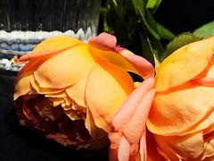 -MEDISN·药厂