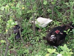 -大宁灵石公园西门票处