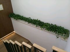 -联合口腔(西环诊所)