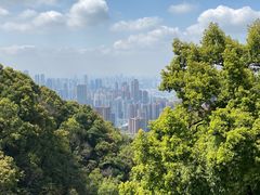 -南山植物园