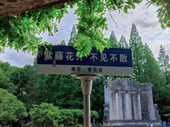 -音乐台