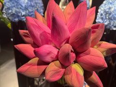 -北门涮肉·炭火铜锅涮肉(什刹海店)