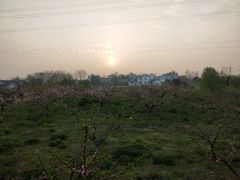 -秋香鱼馆(世凹桃园店)