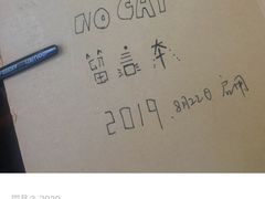 -No Cat 手碟