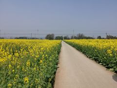 -桤木河湿地公园