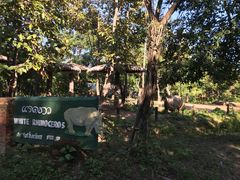 -清迈夜间动物园