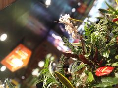 -潮火锅·麻辣牛肉火锅(观音桥方圆·LIVE店)