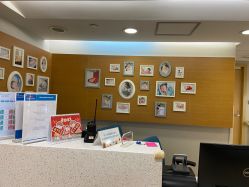 -杭州贝瑞斯美华妇儿医院·早孕·产检·儿科