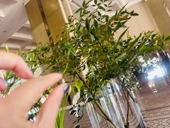 -李沧绿城喜来登酒店大堂吧