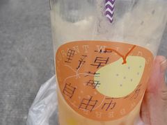 -野草莓自由市场