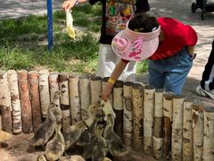 -水上乐园·欢乐世界