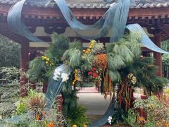 -大唐博相府酒店·陕西官府菜