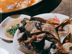 -肥鱼屯活鱼锅(惠工街店)
