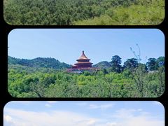 -磬锤峰森林公园