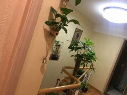 点击看大图 -阅年轻·AI家庭健康体质调理