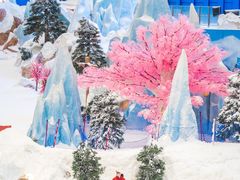 -湘江欢乐城欢乐雪域