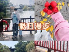 -荔湾湖公园