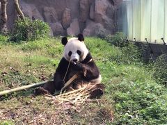 -仙芝竹尖生态园旅游景区
