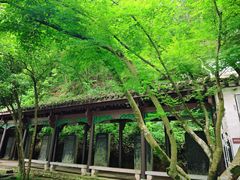 -严子陵钓台(富春江小三峡)