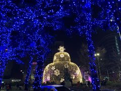 -新世界百货(明洞总店)