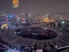 -星城之眼摩天轮