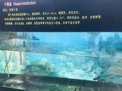 -晶宝温泉农庄