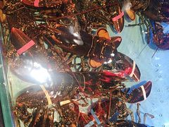 -阿伟海鲜楼·福建菜(延寿店)