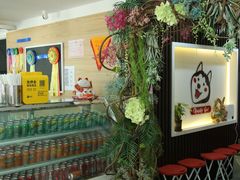 -Husky Go! 哈士奇体验馆·宠物咖啡厅狗咖