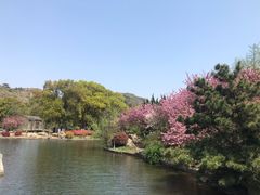 -白马涧龙池景区