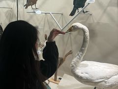 -中国湿地博物馆