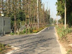 -上海长兴岛郊野公园