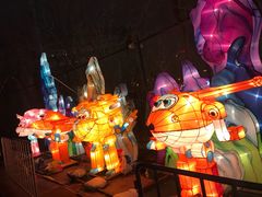 -沈阳奥体冰雪嘉年华