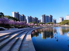 -新江湾城公园