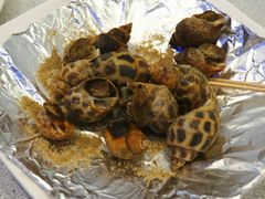 -旅南活海鲜-屏东(墾丁海鮮，海鮮餐廳，墾丁團體合菜，平價熱炒，墾丁熱炒店，活海鮮推薦，在地海鮮餐廳)