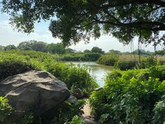 -海上田园
