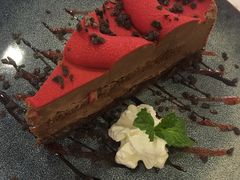 -飞行喵MR PILOT|猫舍·猫咖(静安大融城店)