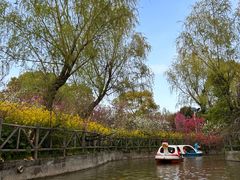 -南汇桃花村