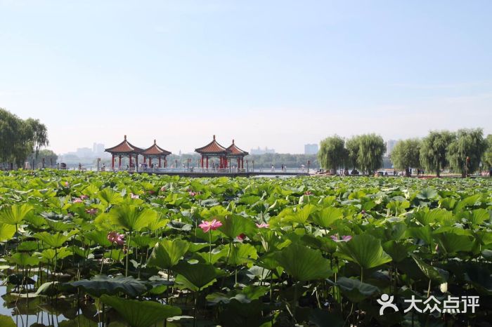 長春市南湖公園-圖片-長春景點/周邊遊-大眾點評網